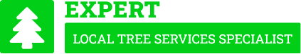Hurstville Tree Lopping - Tree Removal Sydney